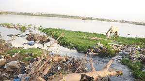 Environnement : Le  Fleuve Niger en péril !
