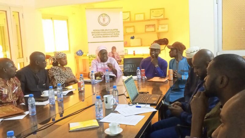 RJEPADER AU SAHEL : Un Plan d&rsquo;Actions Annuelles désormais disponible !