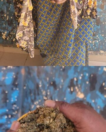 Lutte contre les stupéfiants :     6 KG DE DROGUE KUSH INTERCEPTÉS PAR LA DOUANE À BOUGOUNI