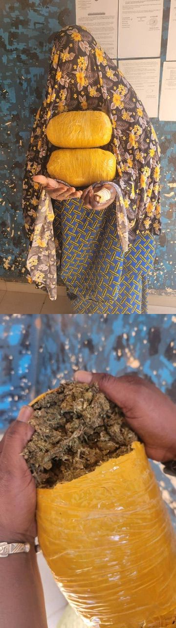Lutte contre les stupéfiants :     6 KG DE DROGUE KUSH INTERCEPTÉS PAR LA DOUANE À BOUGOUNI