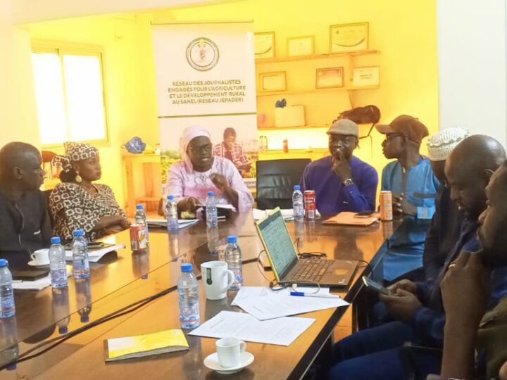 RJEPADER AU SAHEL : Un Plan d&rsquo;Actions Annuelles désormais disponible !