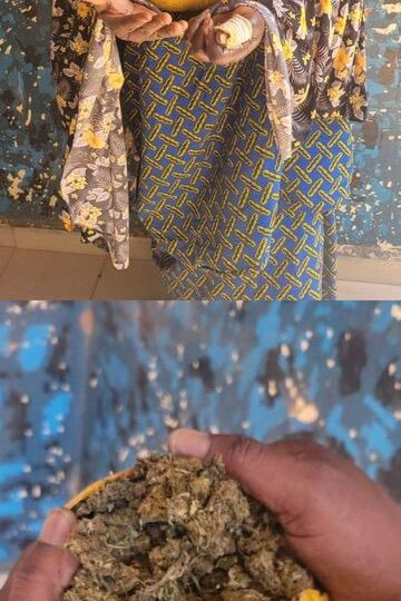 Lutte contre les stupéfiants :     6 KG DE DROGUE KUSH INTERCEPTÉS PAR LA DOUANE À BOUGOUNI